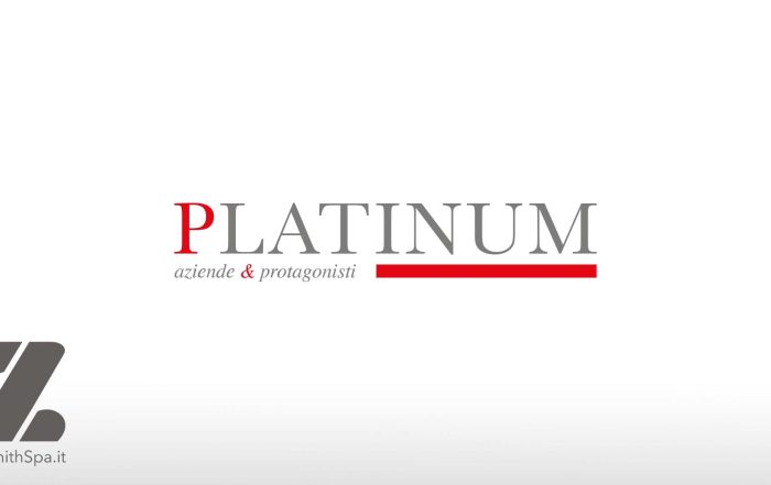 Zenith Services Group - Platinum